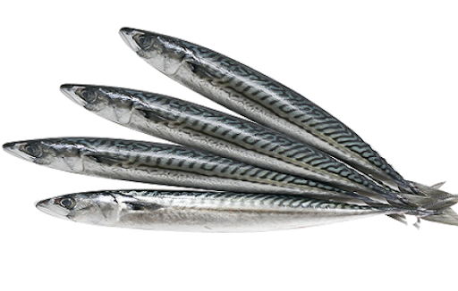Cá nục Nhật - Thực phẩm Hưng Gia - Công Ty TNHH Xuất Nhập Khẩu Quốc Tế Hưng Gia